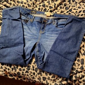Torrid jeans